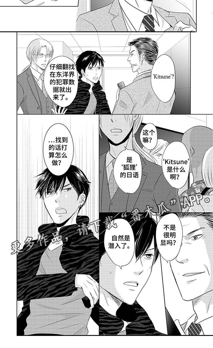 第28章：擅长的领域2