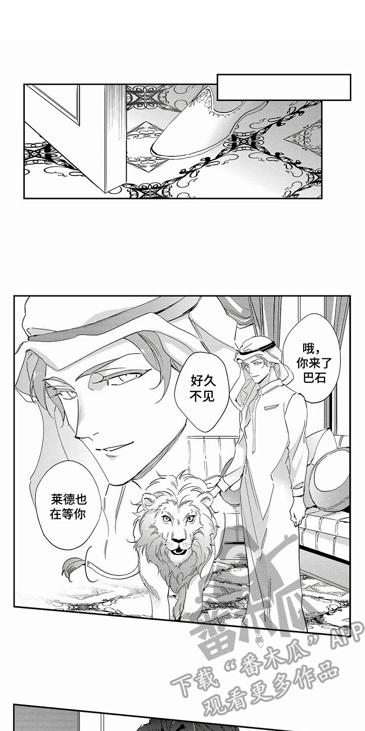 第13章：就是本人0