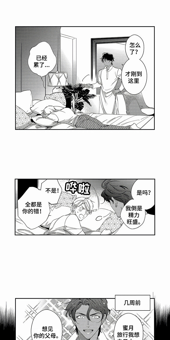 第27章：【番外】蜜月旅行1