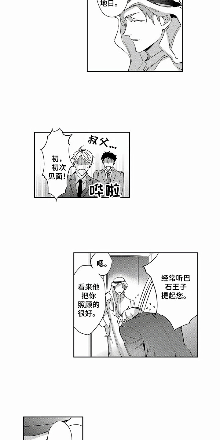 第20章：替代品4