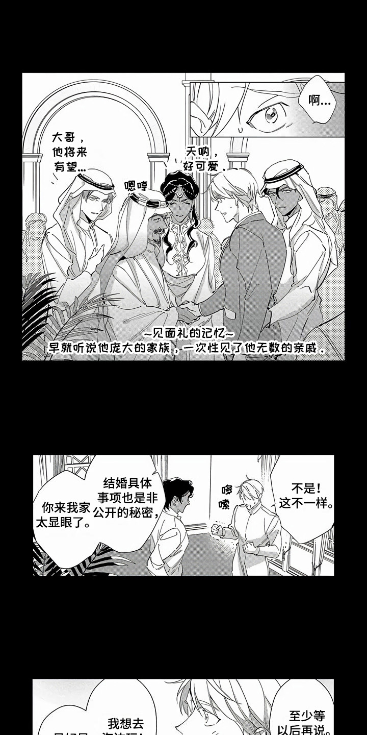 第27章：【番外】蜜月旅行3