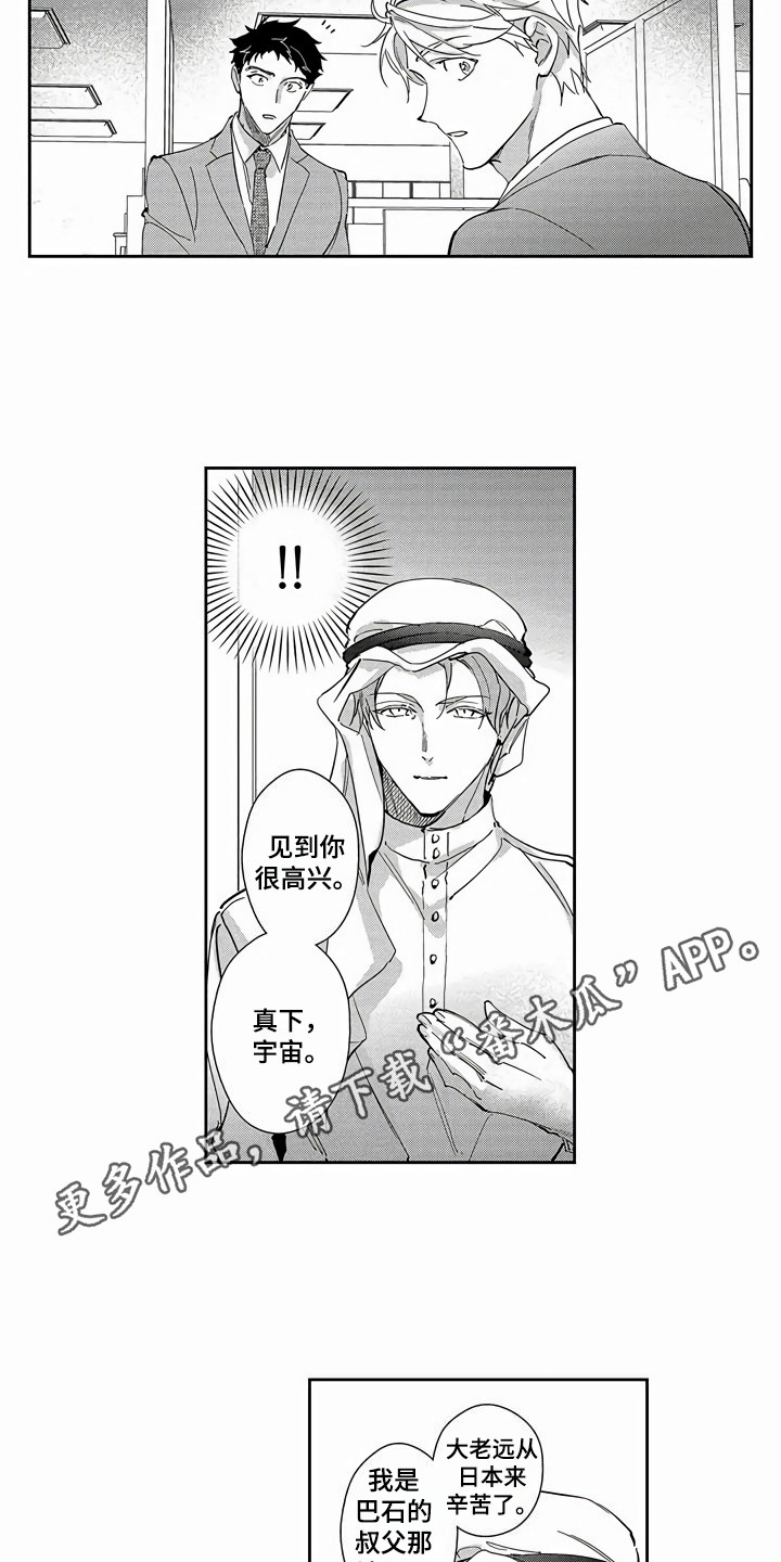 第20章：替代品3