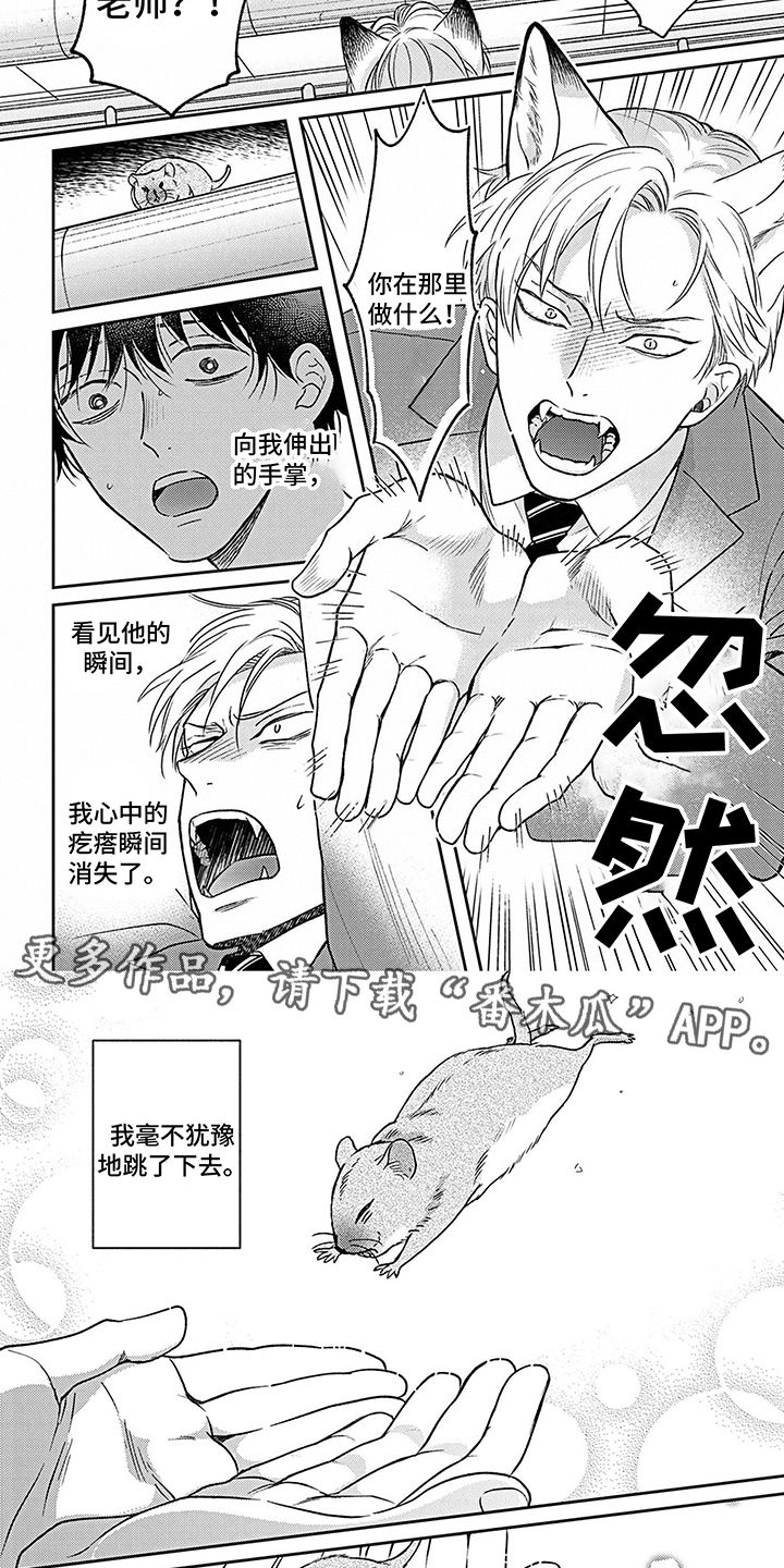 第17章：真心话1