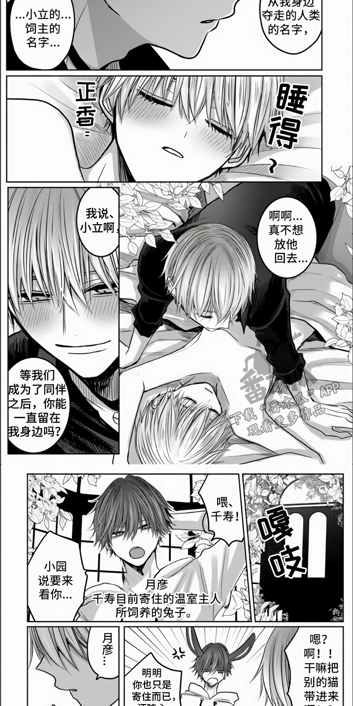 第5章：全世界最喜欢4