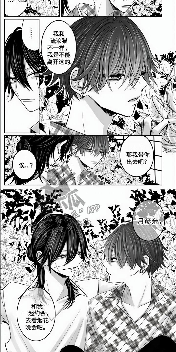 第18章：兔子与猫3