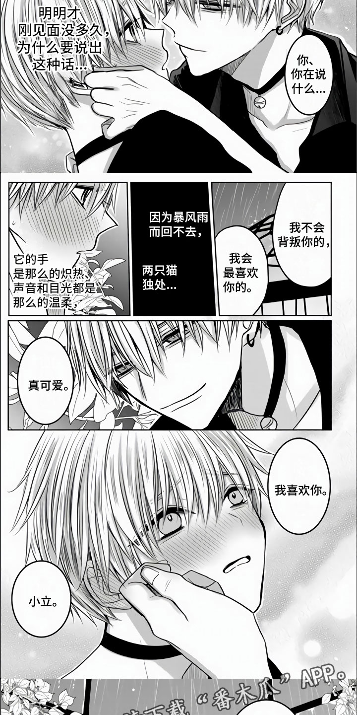 第4章：我喜欢你4