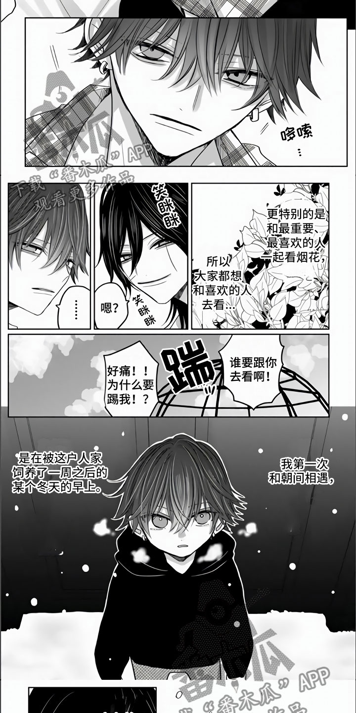 第18章：兔子与猫4