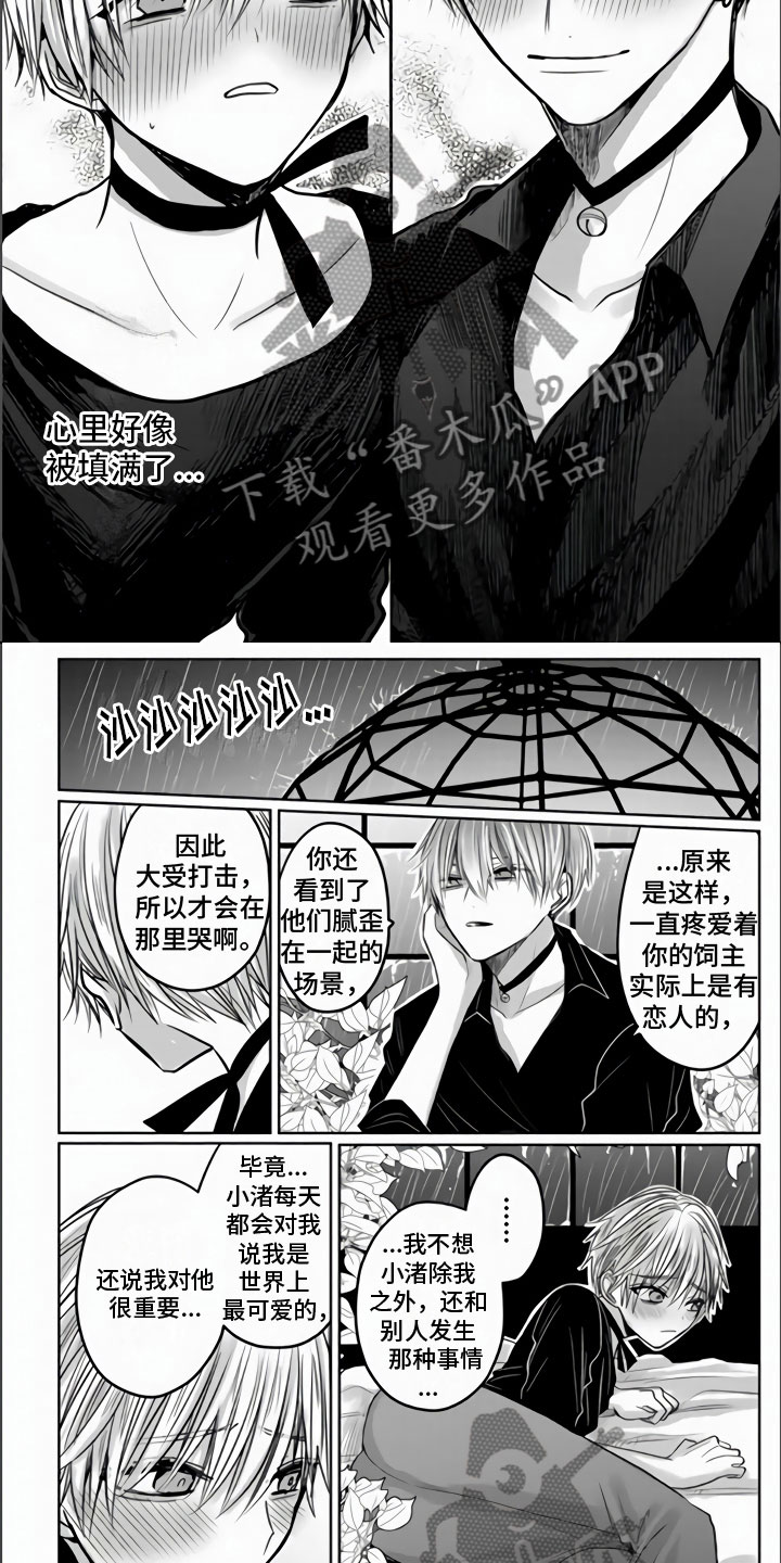 第4章：我喜欢你1