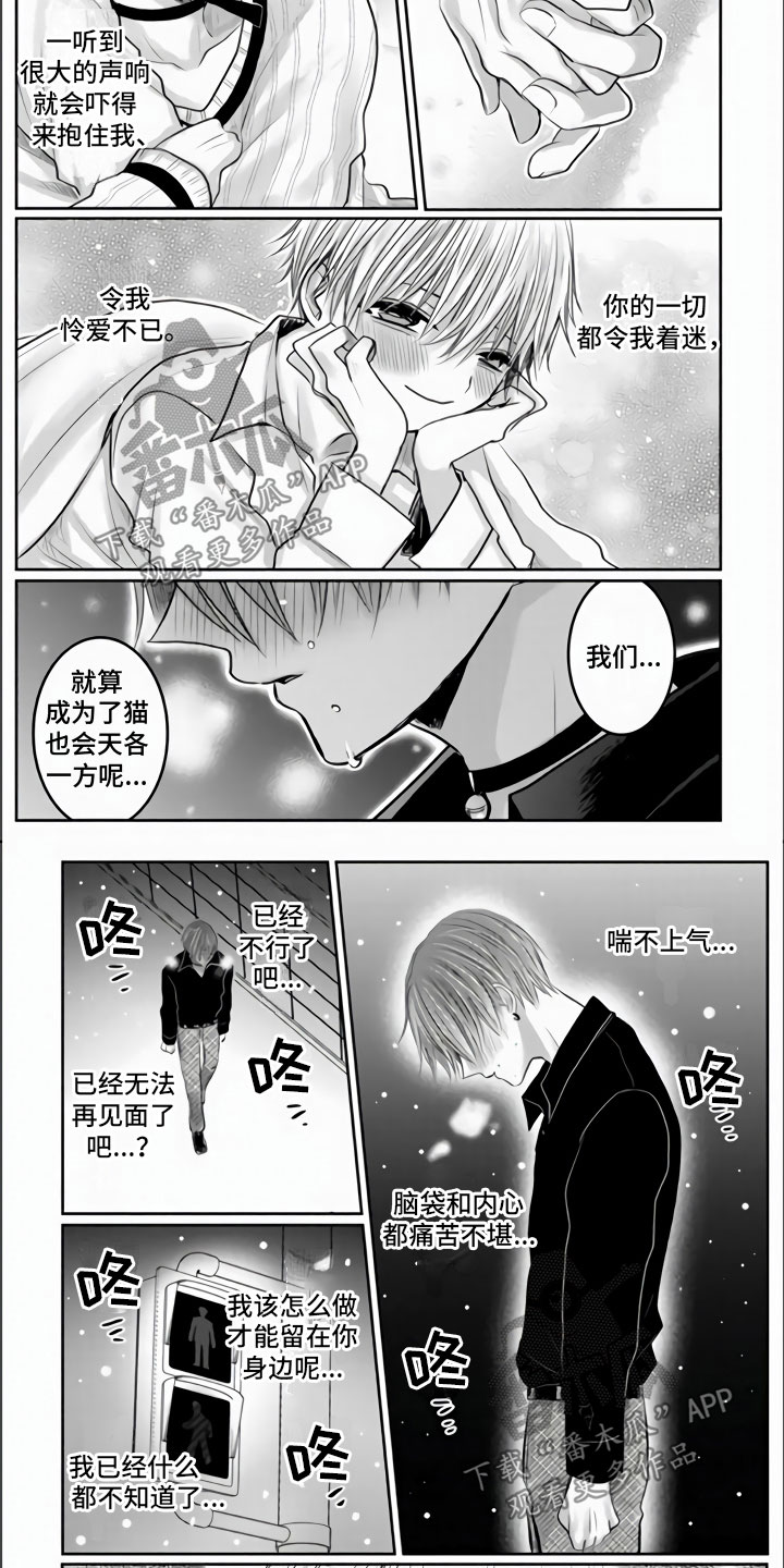 第32章：艰难的决定3