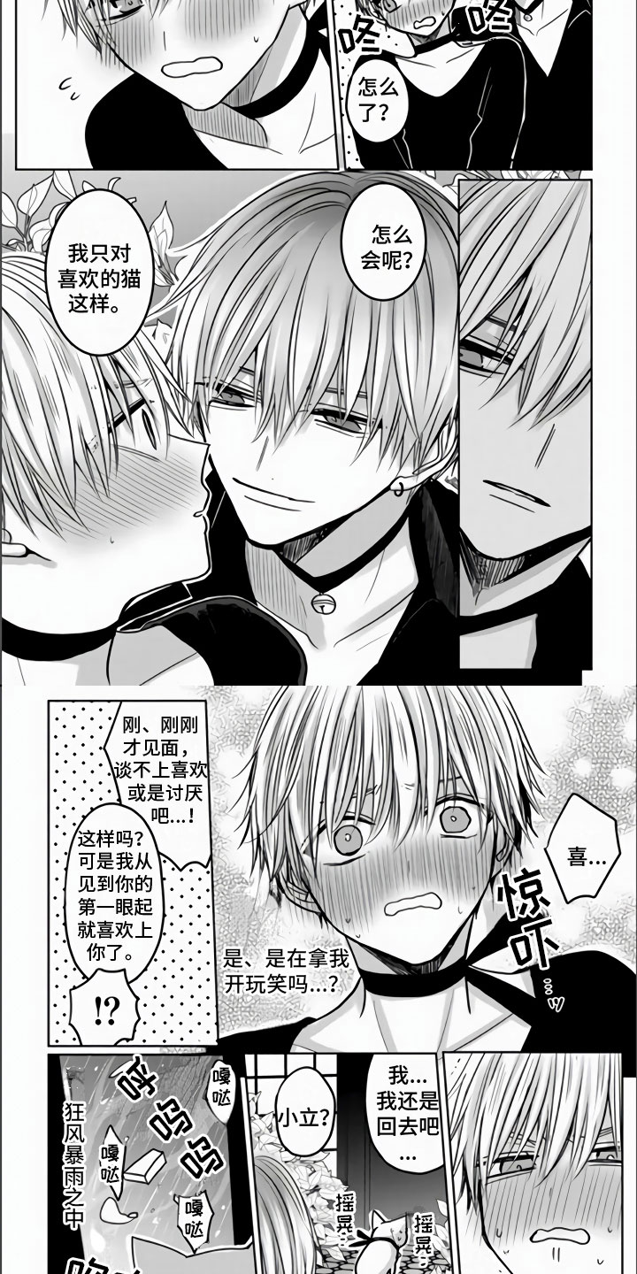 第3章：被拐走了3