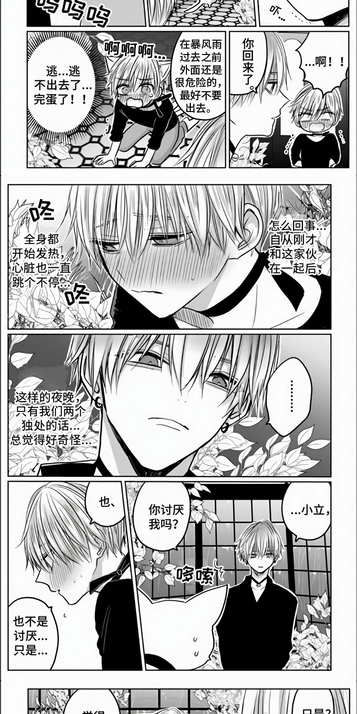 第3章：被拐走了4