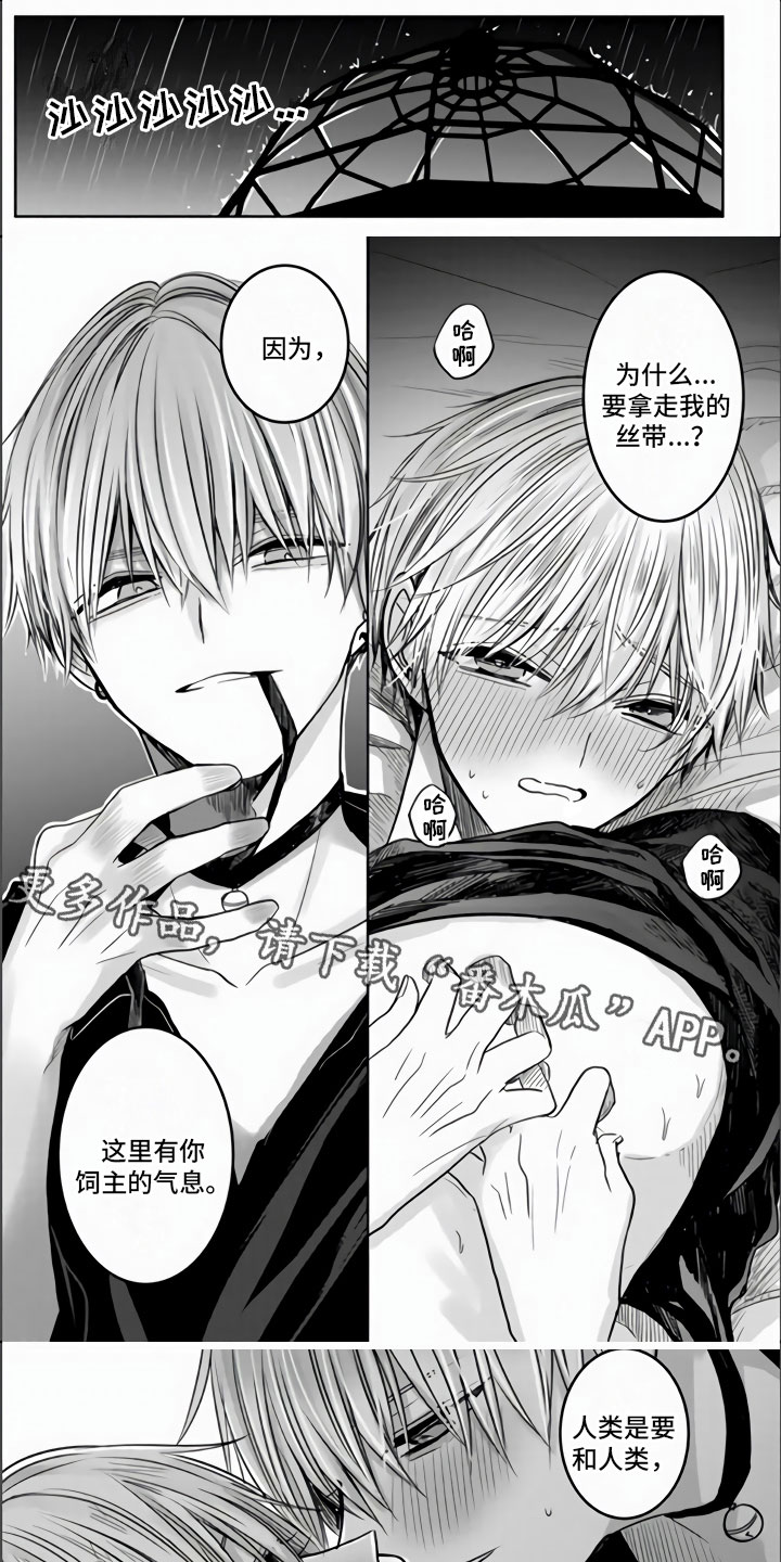 第5章：全世界最喜欢0