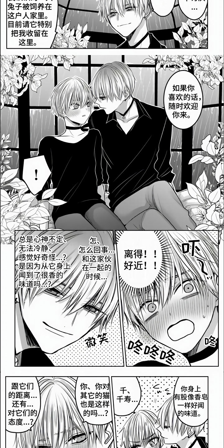 第3章：被拐走了2