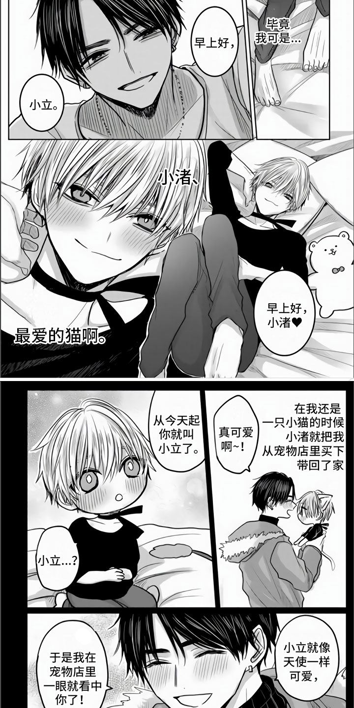 第1章：狂风暴雨的开始3