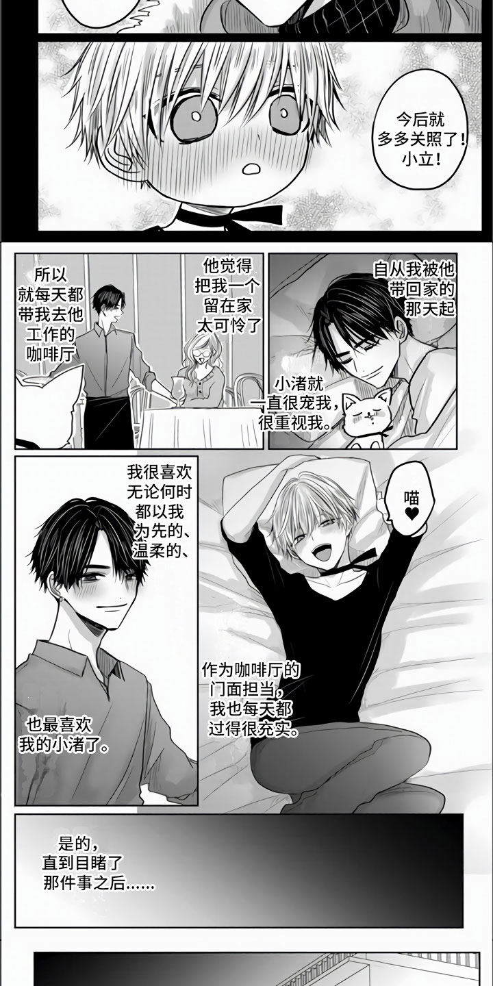 第1章：狂风暴雨的开始4