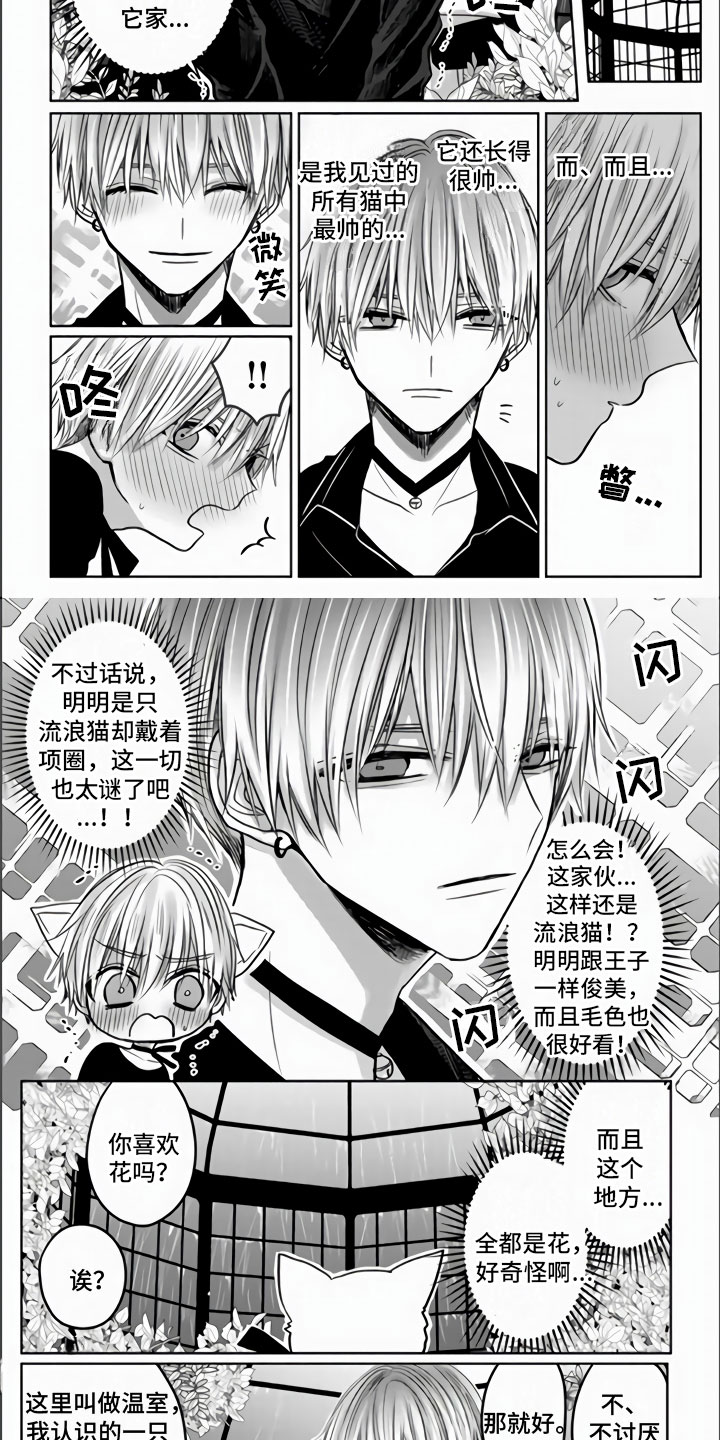 第3章：被拐走了1