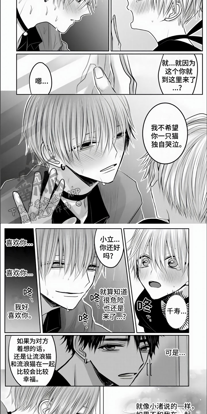 第26章：隔窗的吻3