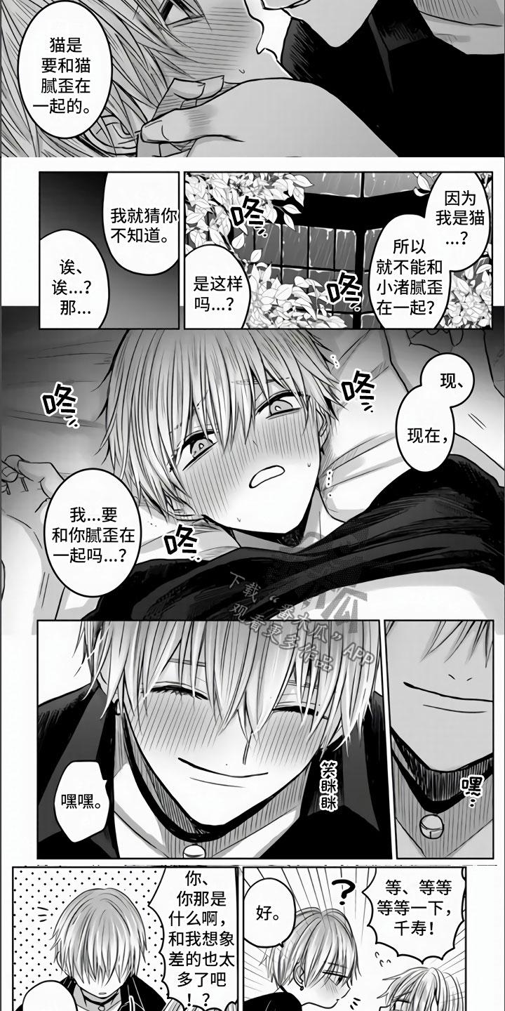 第5章：全世界最喜欢1