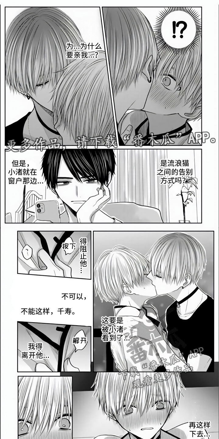 第9章：把你夺走了0