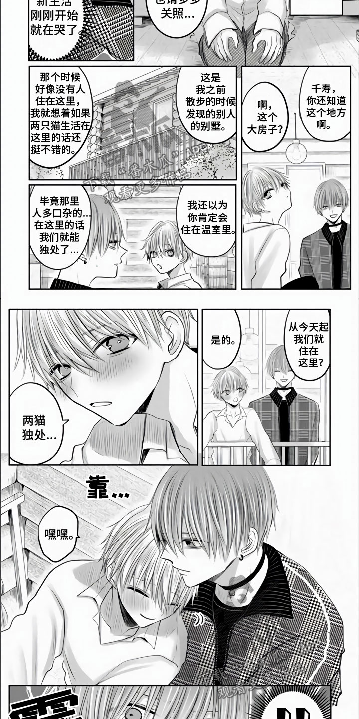 第28章：永远属于你1