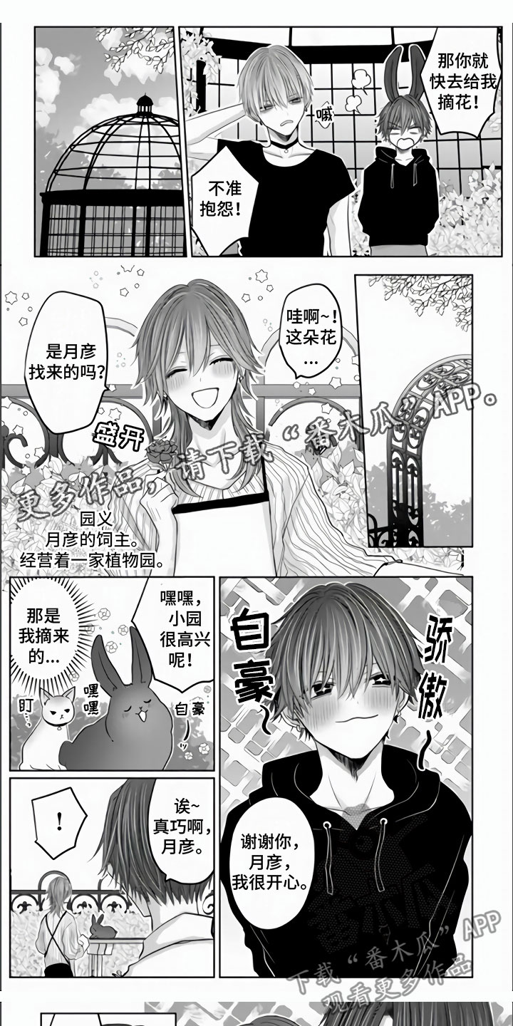 第11章：突如其来0