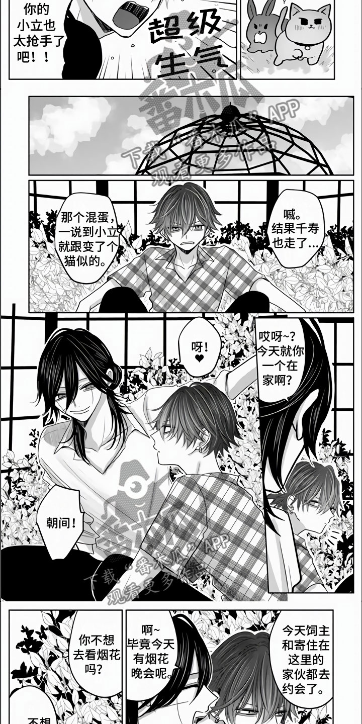 第18章：兔子与猫2