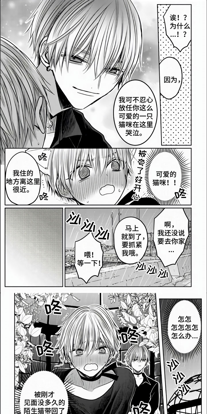 第3章：被拐走了0