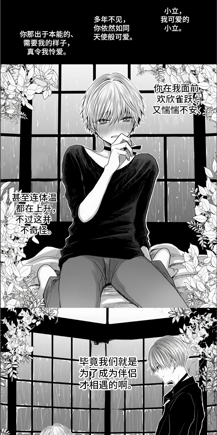 第1章：狂风暴雨的开始0