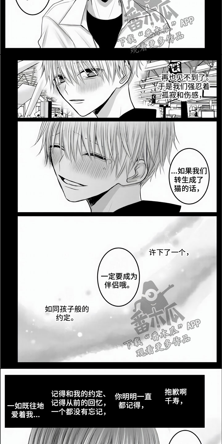 第33章：我们约好了2