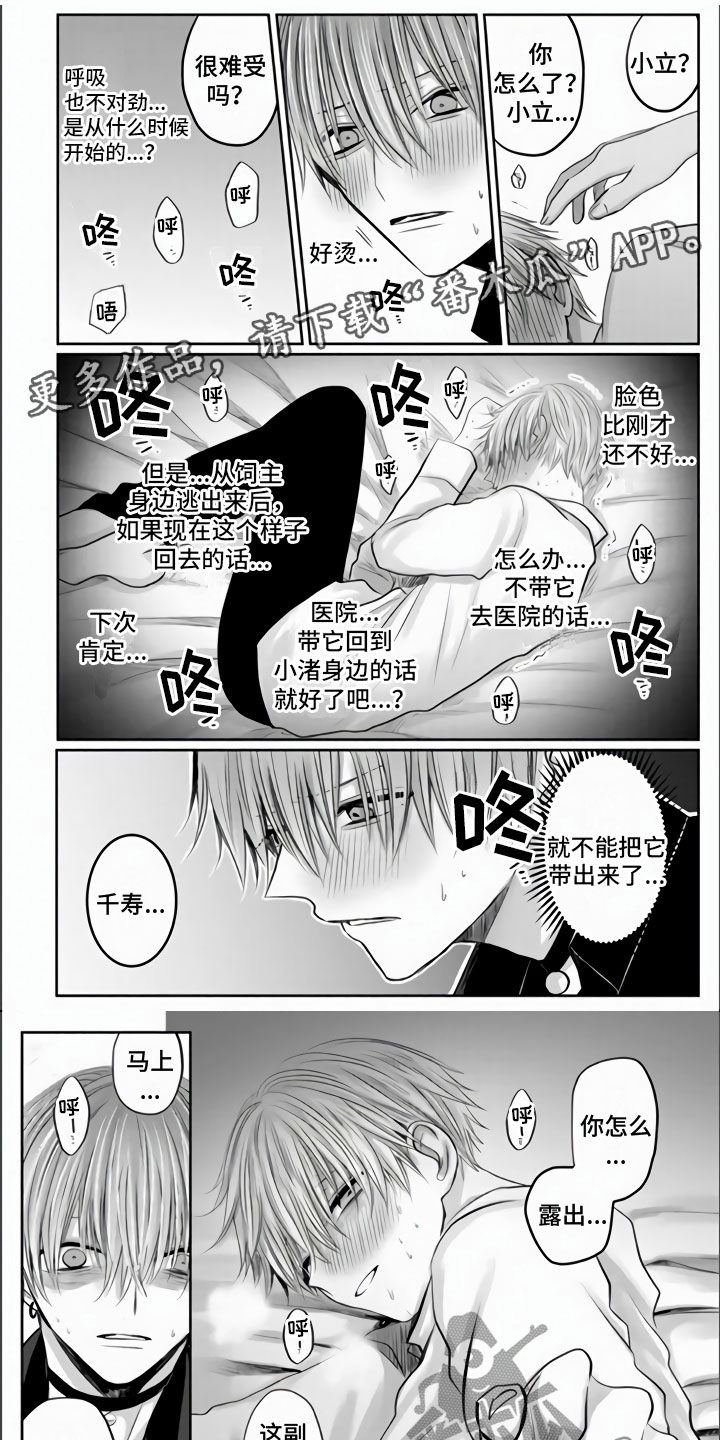 第31章：都是我的错0