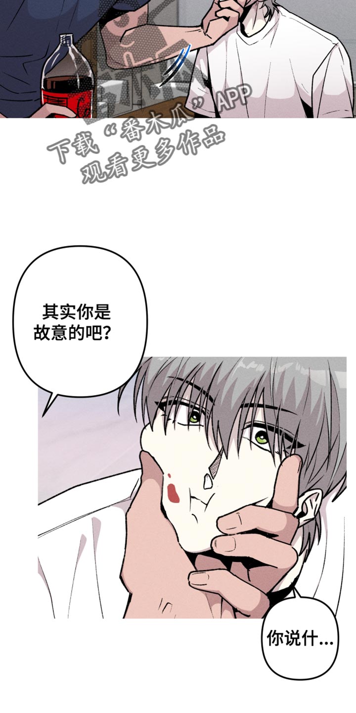 第53章：我要亲眼看看4