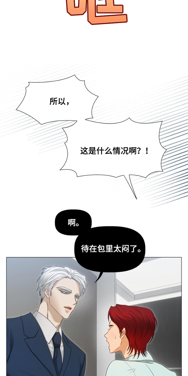 第22章：不记得了3