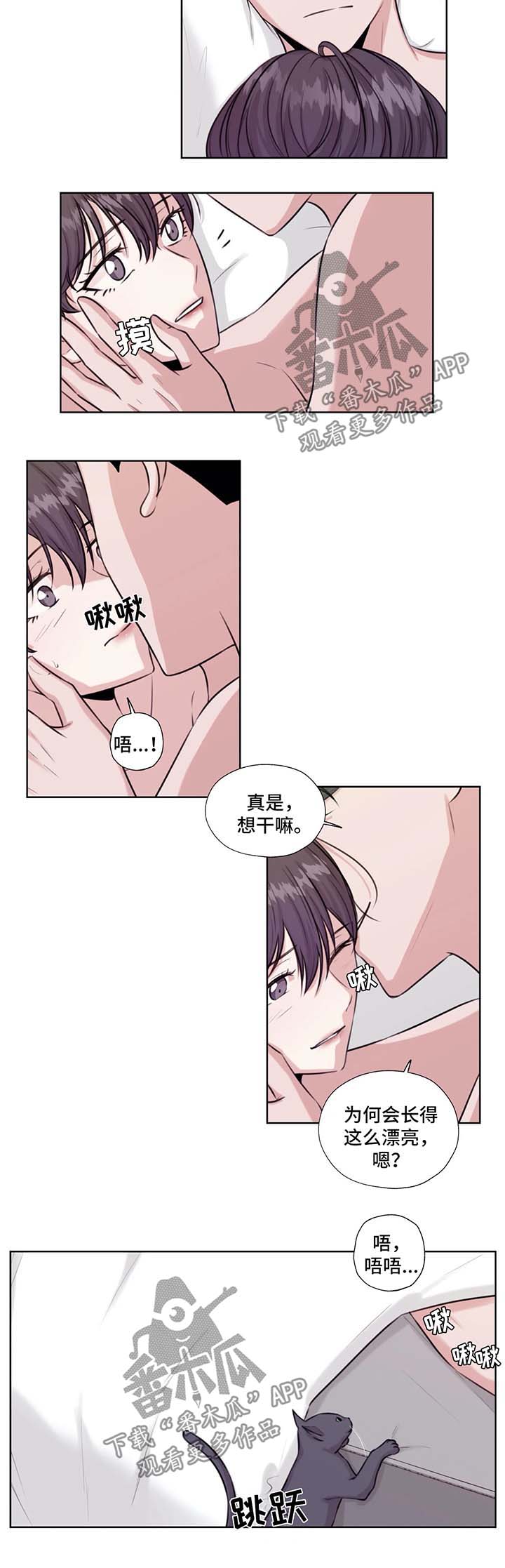 第46章：在这生活吧2