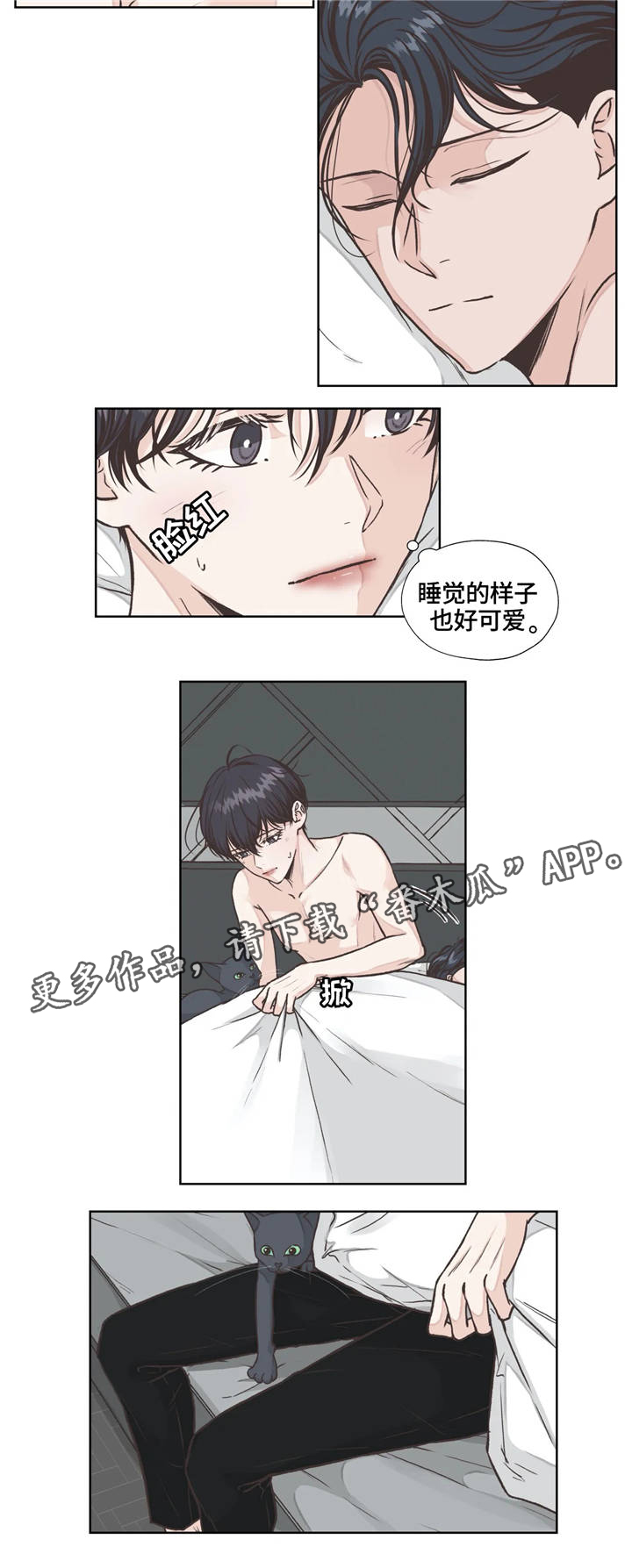 第21章：发现1
