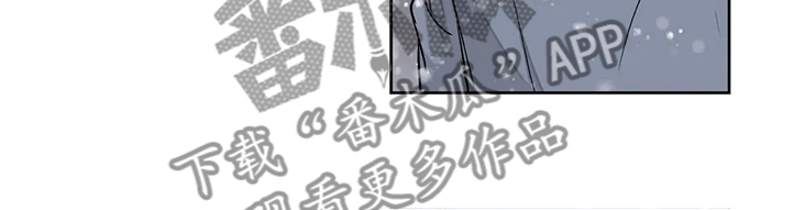 第142章：【番外】眼睛不会骗人2