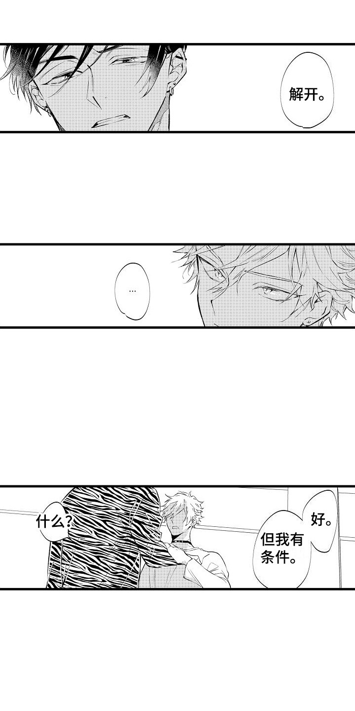 第2章：条件2