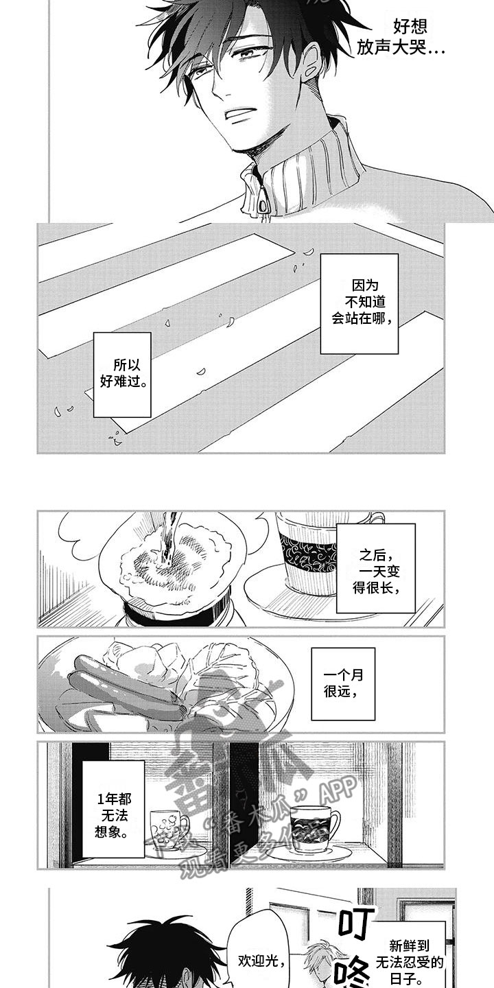 第12章：选哪个1