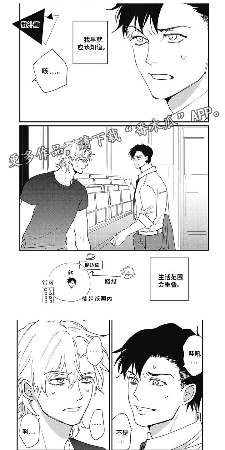 第18章：番外（完结）0