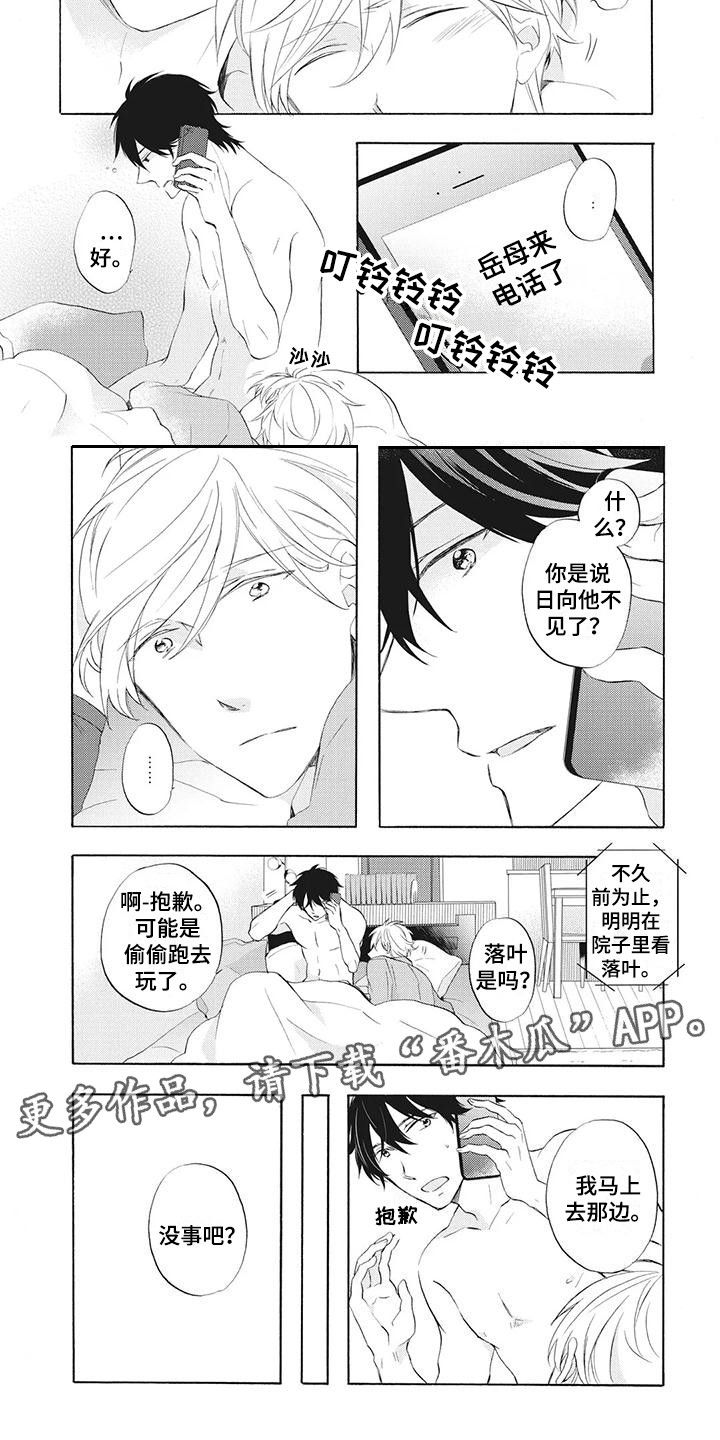 第16章：不见了3