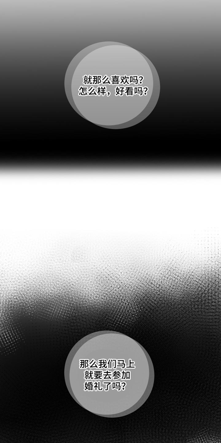 第84章：【第三季】再次见面2