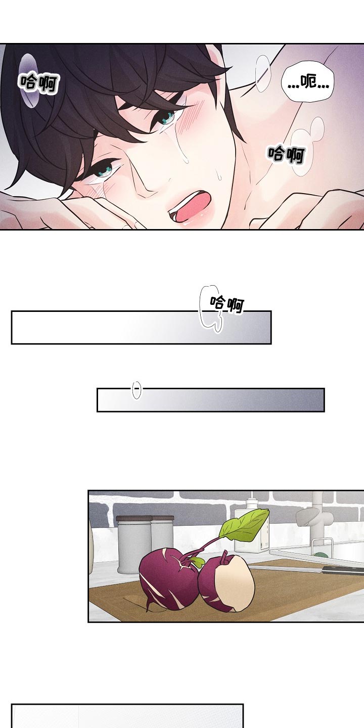 第45章：乐园（完结）1