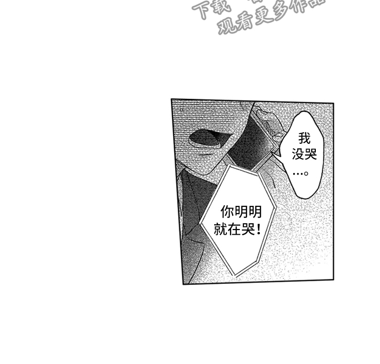 第25章：真实的想法4