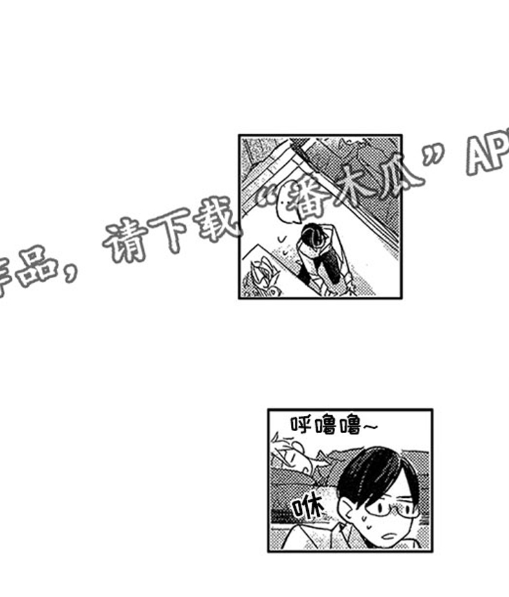 第19章：喜欢的理由4