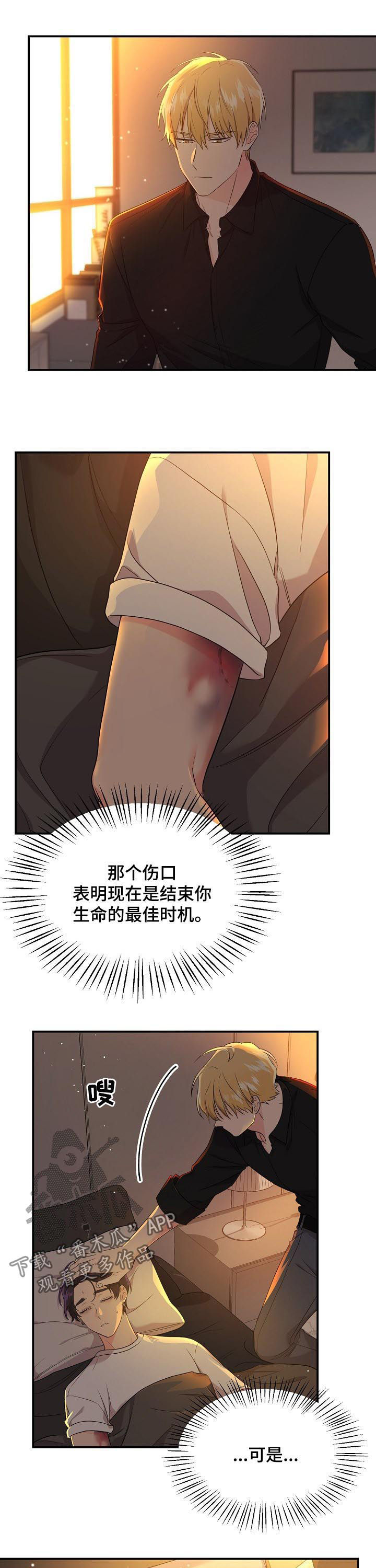 第46章：就算输也无所谓3