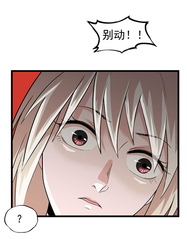 第48章：天烙蠕虫2