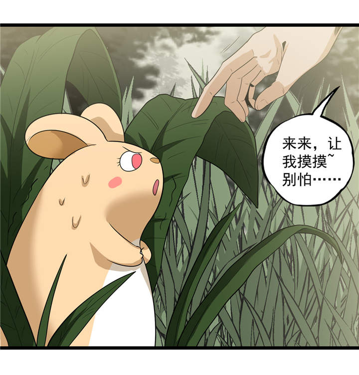 第40章：蠕鼠0