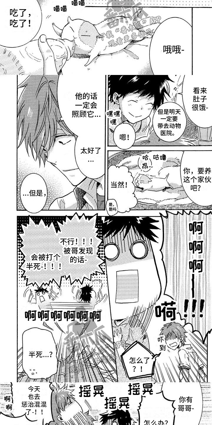 第28章：“熊杀手”2