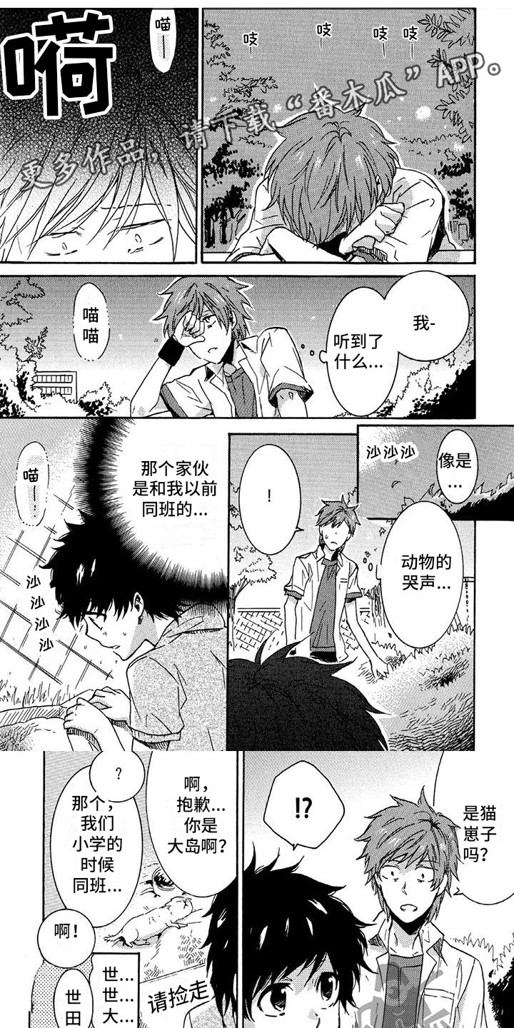 第28章：“熊杀手”0