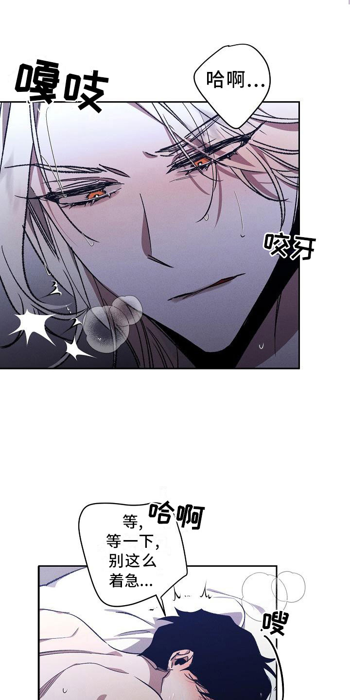 第1章：薰衣草花园：紫宝石3