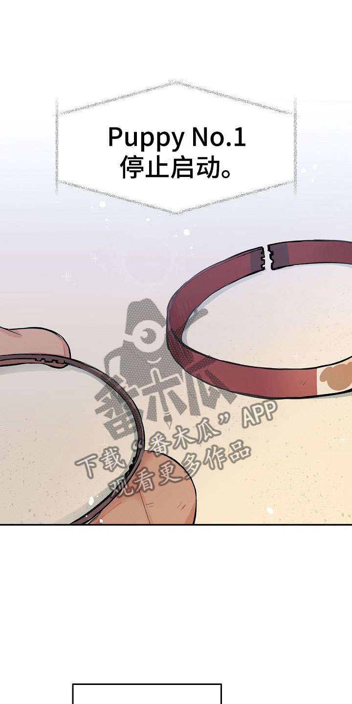 第29章：我的狗男孩：真心2